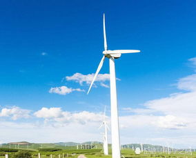 風力發電的環保悖論 清潔能源為何可能加劇全球變暖？