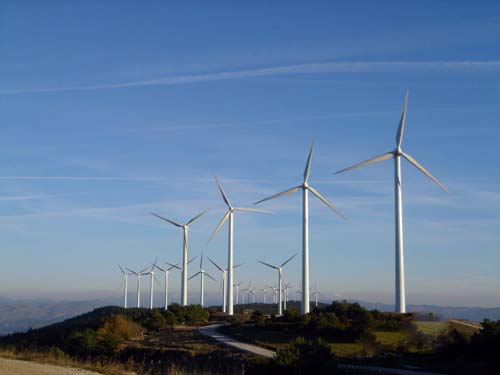 乘風而上 風能發(fā)電的廣闊前景與時代機遇